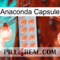 Anaconda Capsule 26